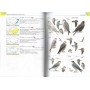 Полевой определитель птиц Казахстан